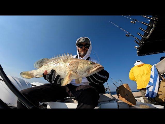 HOW IS THE FISHING IN DUBAI? - FULL DAY CHARTER - ZAYA FISHING