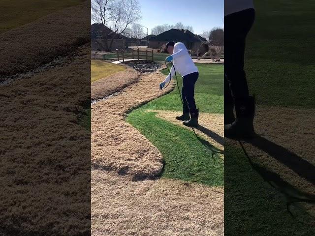 Painting Grass