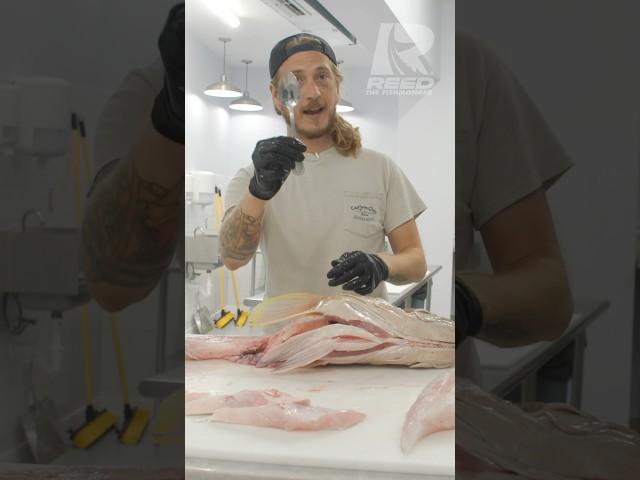 Do you scrape your bones? The meat off the skeleton of phenomenal on most fish, not just Tuna!