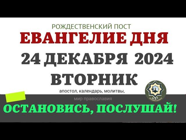 24 ДЕКАБРЯ ВТОРНИК ЕВАНГЕЛИЕ АПОСТОЛ ДНЯ ЦЕРКОВНЫЙ КАЛЕНДАРЬ 2024 #евангелие