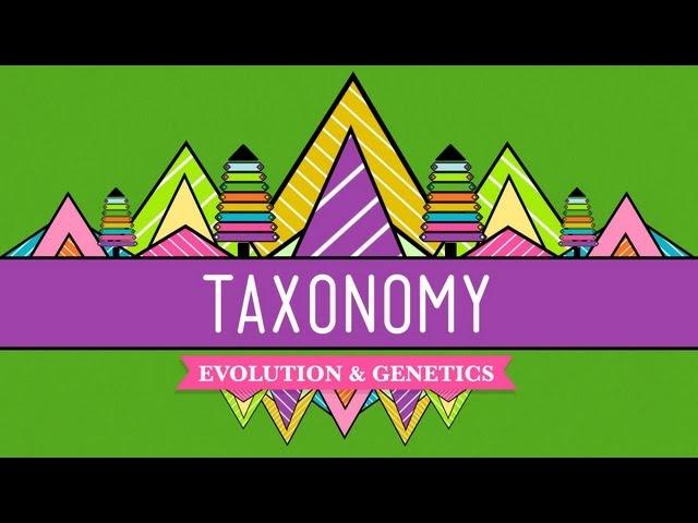 Taxonomy: Life's Filing System - Crash Course Biology #19