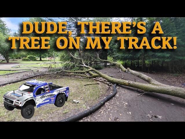 A Tree Fell on Our RC Track