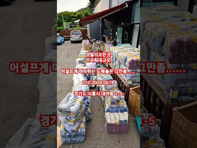 #패션양말 #다이소 #도매 #소매 #소자본창업 #양말 #양말공장 #양말도매 #양말장사 #양말창업#양말의모든것#양말판매#양말소매#양말도매#구찌챌린지#전국최저가판매#남자양말#여자양말