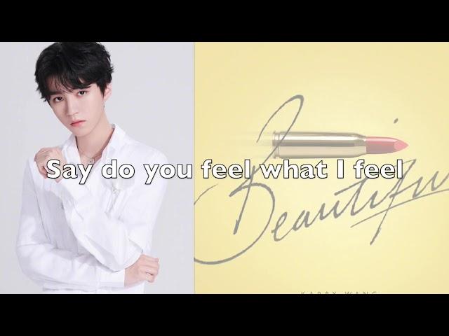 TFBOYS王俊凯 Karry Wang [Beautiful] Lyric video