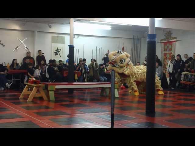 Chans Kung Fu Lion  Dance