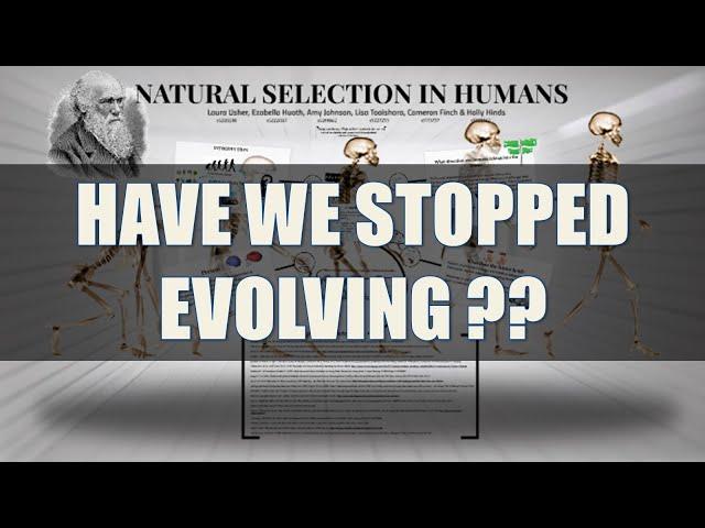 An Insight Into Modern Human Evolution