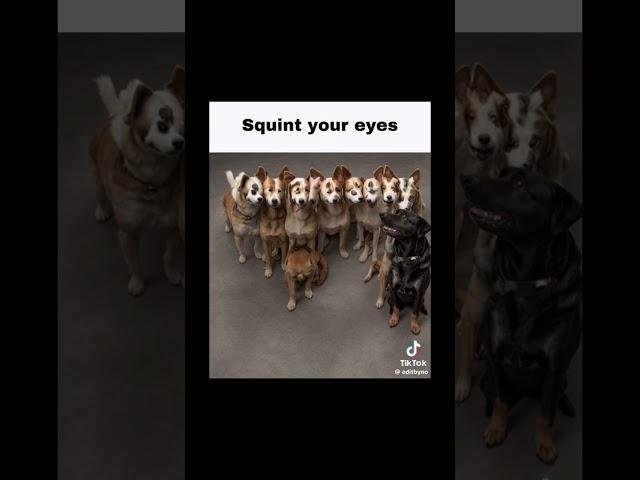 Squint your eyes #fypシ