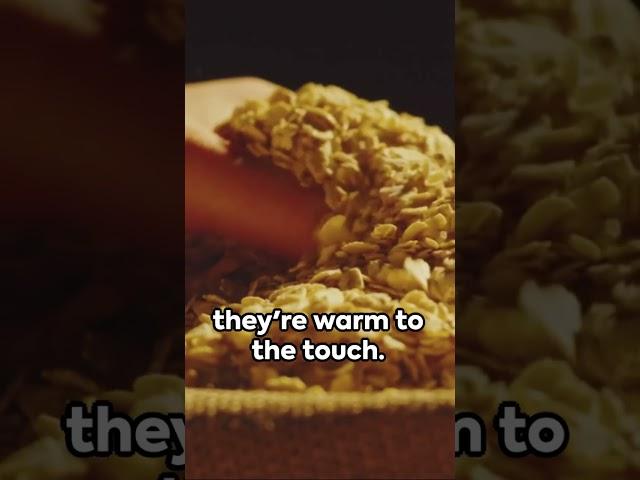 Millet Magic: How to Cook this Lectin Free Ancient Grain in the Instant Pot