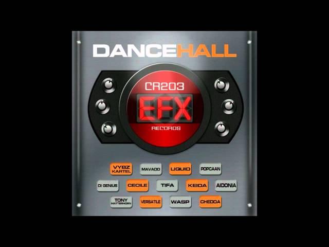 Dancehall EFX Riddim Mix Featuring [Vybz Kartel, Mavado, Popcaan, Aidonia etc] December 2010 ©