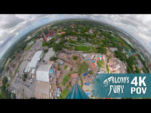 Falcon's Fury 4K POV | Busch Gardens Tampa Bay