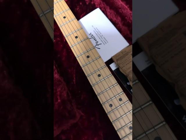 Fender jim root telecaster