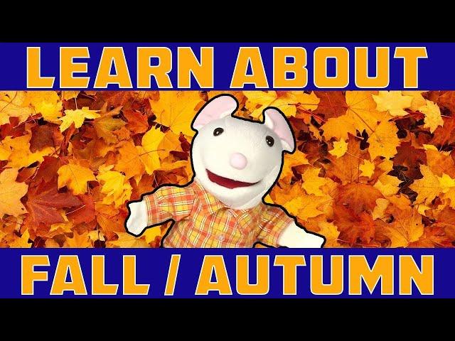 LEARN ABOUT FALL, AUTUMN | learning seasons for children | preschool, kindergarten vocabulary