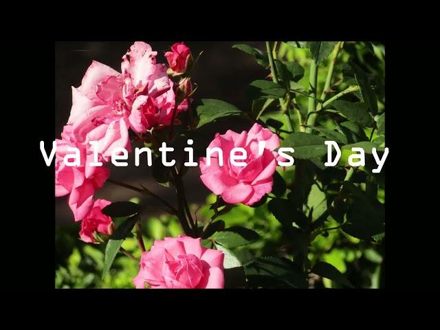 Valentine's Day | JL Productions SA |