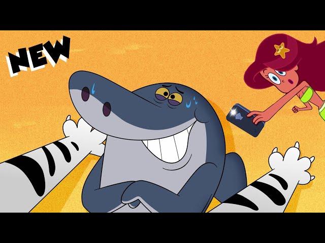 (NEW) Zig & Sharko | Wild Race (SEASON 4) BEST CARTOON COLLECTION | New Episodes in HD