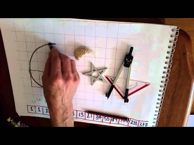Vesica Pisces Ep9 Shells, Phi & Fibonacci Spirals