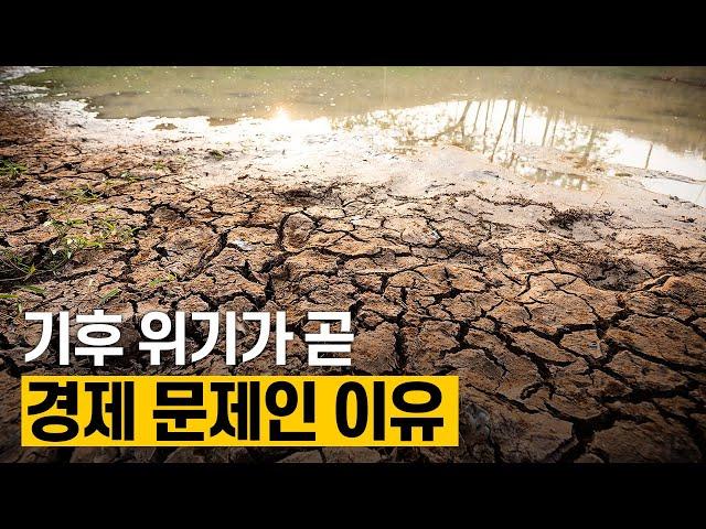 [핫클립] 기후 위기는 환경 문제만 야기할까 / YTN 사이언스