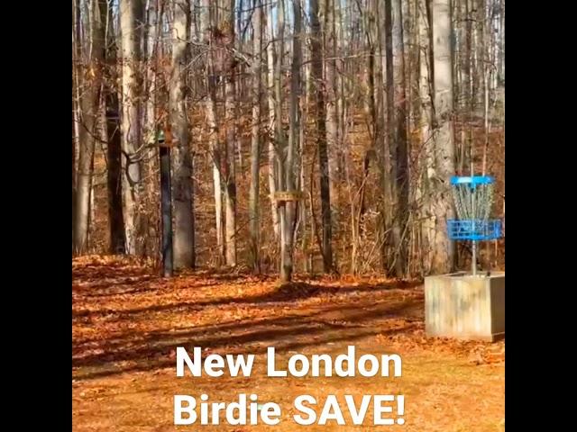 Insane BIRDIE SAVE!?! #Shorts #discgolf