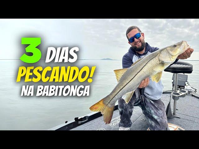 3 Dias PESCANDO em busca do TROFÉU !!! Pesca de ROBALOS com ISCAS ARTIFICIAIS!!!