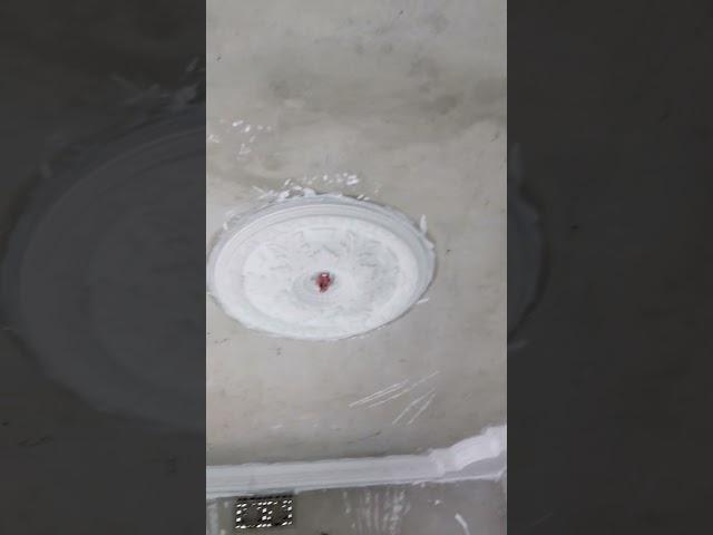 Gypsum Decoration