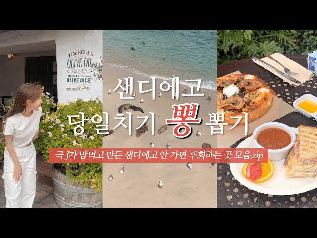 샌디에고 여행 역대급 하루만에 뽕뽑는 코스  | 볼거리 맛집 카페 총집합 | 라구나비치, 라호야코브, 올드타운, 로스리오스, 얼쓰카페, 필즈바베큐, 발보아파크, 미국주유하는법