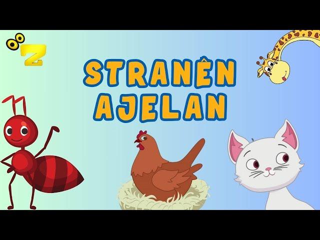 Zarok TV - STRANÊN AJELAN 