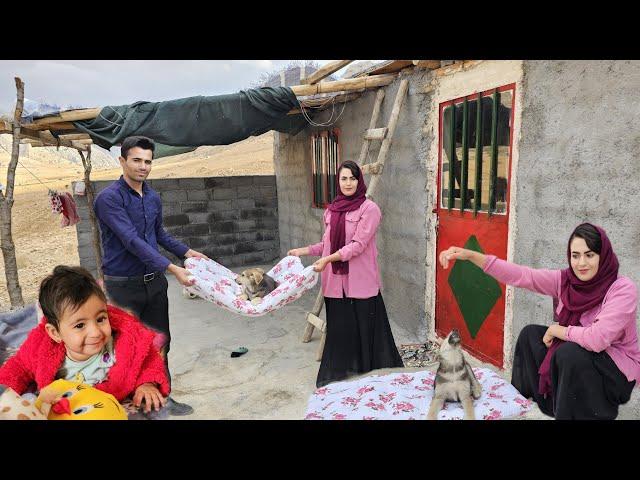 Heartwarming Gesture: Parisa's Handmade Mat for the Guard Dog | Nomadic Life Documentary