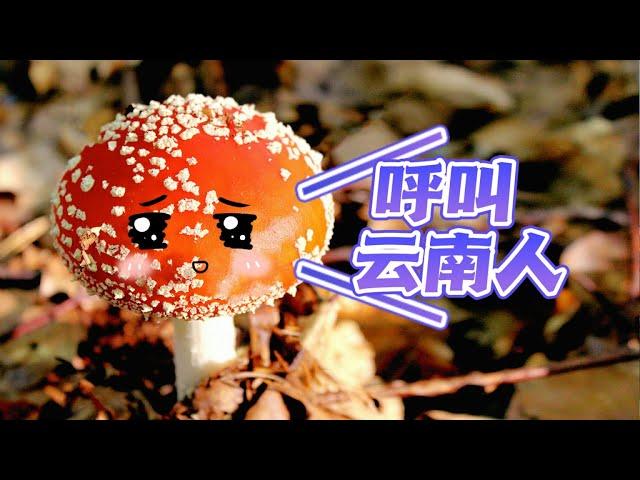 吃完致幻蘑菇當場學會一門語言？菌子竟是人類祖先！神奇的真菌＆魔力蘑菇 | 小俠說電影