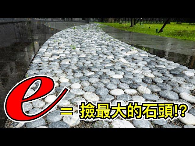 【Fun科學】無法回頭的石頭路，如何撿最大的那顆呢？(疫情之下這樣教也不錯喔~)