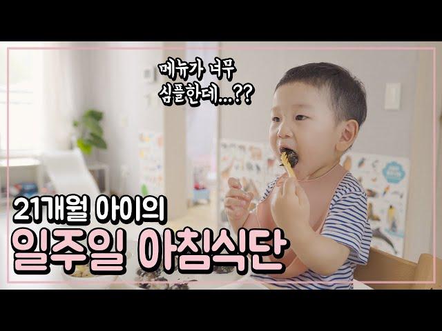 심플하게(?) 차린 일주일 아침메뉴 | 현실 유아식 [달콜부부]