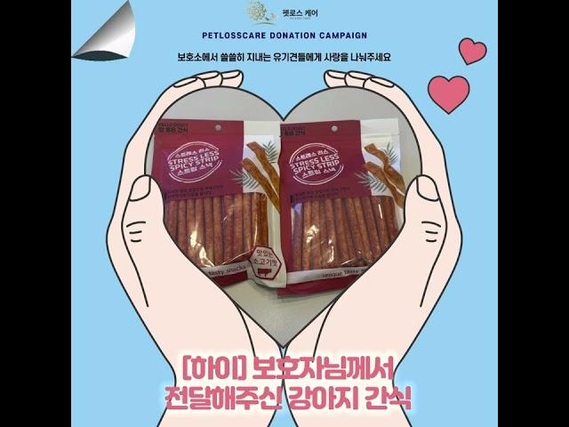 하이보호자님이 창원강아지장례 후 기부해주신 기부물품 #쇼츠 #창원강아지장례 #펫로스케어