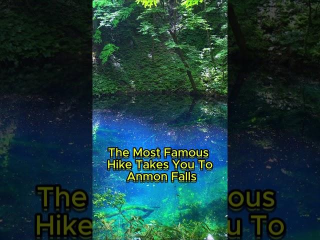 Shirakami Sanchi: A UNESCO World Heritage Site! For nature lovers.