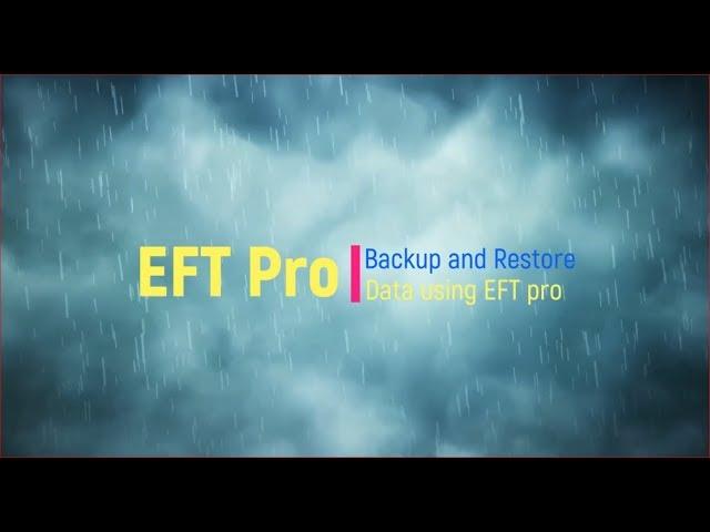 How to make Data Backup and Restore it via EFT Pro