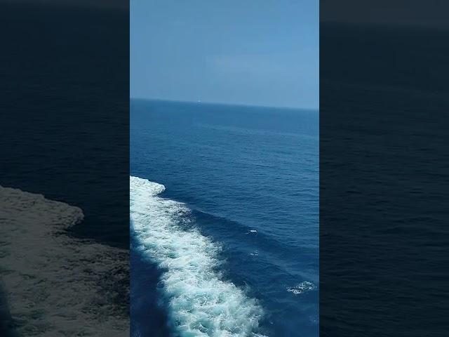 Somewhere in Arabian sea ...... #sea #oceanwaves #travel #seafarer #photography #videograp