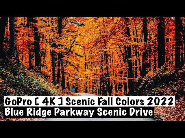 Scenic Fall Colors 2022 - Blue Ridge Mountain Scenic Drive | GoPro [ 4K ]