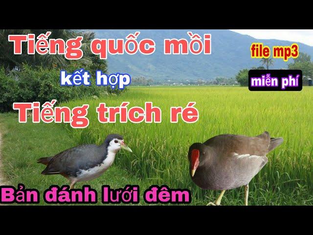 Tiếng trích kết hợp tiếng quốc (bản đánh đêm)