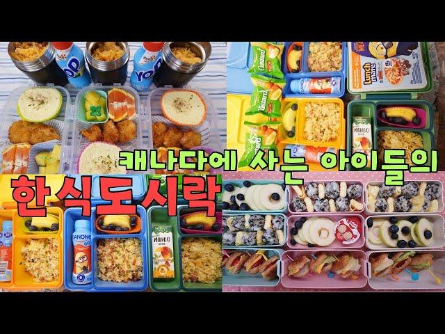 캐나다에서 태어난 아이들이 좋아하는 한식도시락/초간단 도시락 메뉴들/korean lunchbox