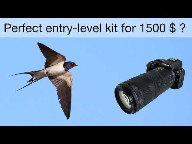 The perfect wildlife equipment for beginners - Canon R10 + RF100-400mm