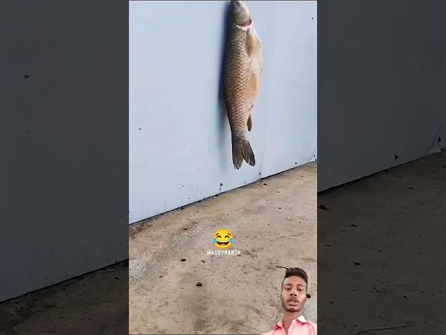 Free Fish #funny #comedy~||