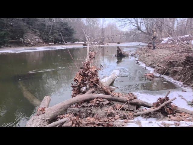 Steelhead Fishing In Erie, PA Tributary After The Snowmelt!!