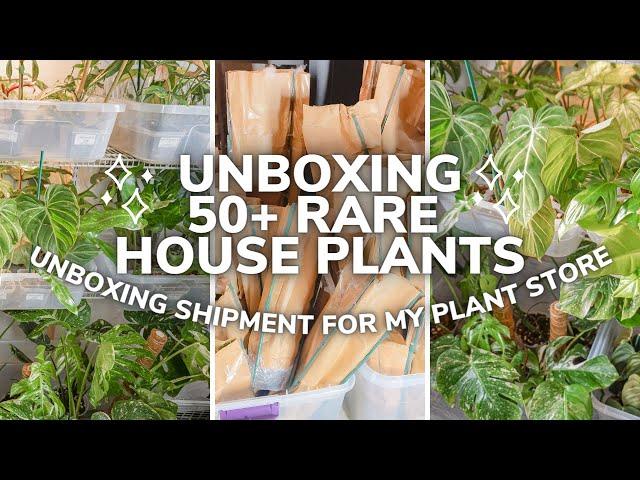 Unboxing 50+ Rare House Plants For My Plant Store! | Daily Life of an Online Shop Owner From Home!