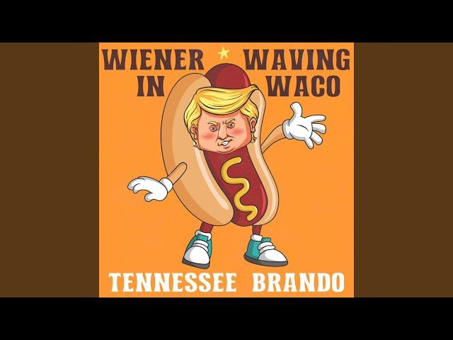 Wiener Waving In Waco