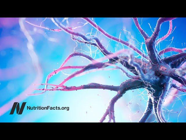 Advanced Glycation End Products (AGEs) and Cognitive Decline