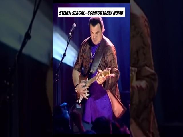 Steven Seagal Comfortably Numb Solo (Pink Floyd)#pinkfloyd #seagal