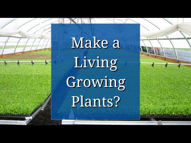 A Career in Horticulture: Make a Living Growing Plants