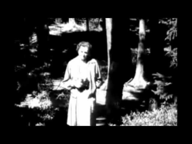 Pesticides - DDT - Rachel Carson - Silent Spring