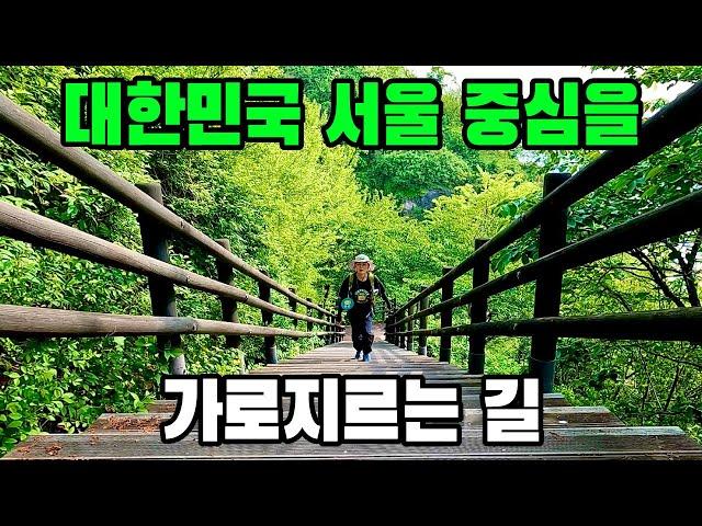 서울숲남산길 8.4km 3시간30분 트레킹 코스 추천