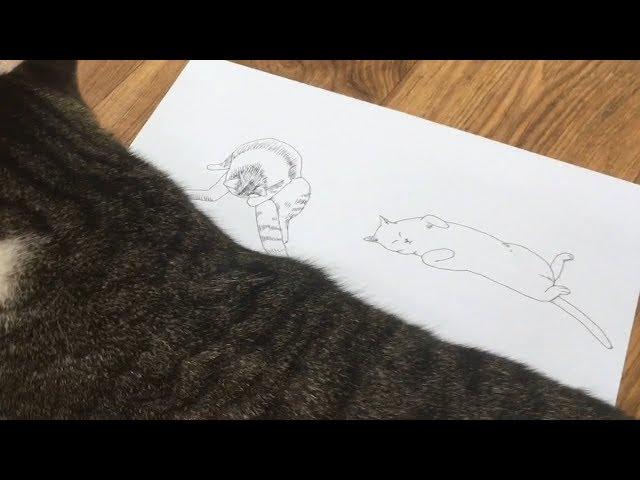 [How to draw a Cat #18] Draw a Grooming Cat