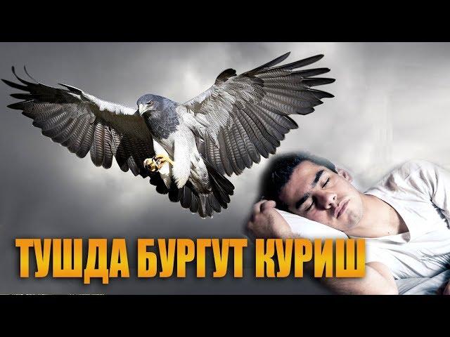 Туш табири - Тушда бургут куриш