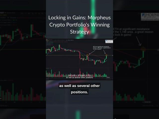 Unlocking Crypto Profits: Our Morpheus Portfolio Update