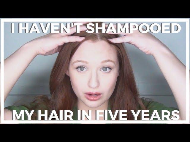 I Haven't Shampooed My Hair In Five Years  No 'Poo Hair Update!